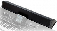 KORG PaAS акустическая система для Pa3x/Pa4X