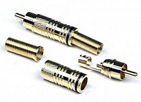 Invotone RCA300M/G - тюльпан кабельный, RCA, "золото",  корпус металл