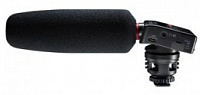 Tascam DR-10SG