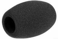 Sennheiser MZW 1