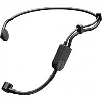 SHURE PGA31-TQG - головной кардиоидный конденсатор. микрофон для радиосистем с разъемом TA4F